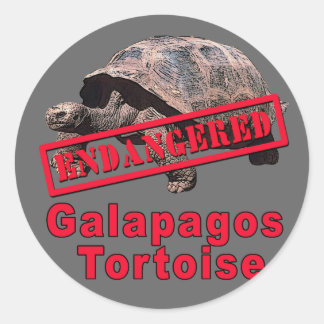 Adesivo Redondo Galápagos Tortoise Camisetas de Arte Ameaçadas