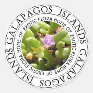 Adesivo Redondo Galapgaos Islands Sesúvio Sea Purslane Stickers