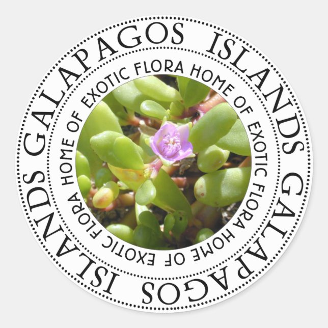 Adesivo Redondo Galapgaos Islands Sesúvio Sea Purslane Stickers (Frente)