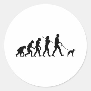 Adesivo Redondo Galgo italiano