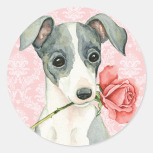 Adesivo Redondo Galgo italiano do rosa dos namorados
