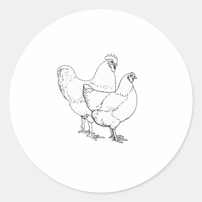 Adesivo Redondo Galinhas da raça da herança - galo e galinha (Frente)