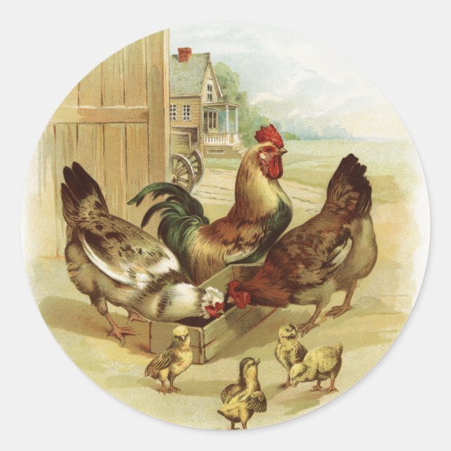 Adesivo Redondo Galinhas Fazendas de Arte Vintage (Frente)