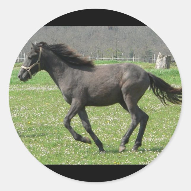 Adesivo Redondo Galloping Colt Sticker (Frente)