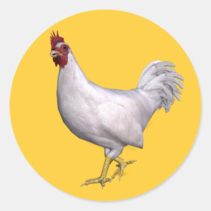 Adesivo Redondo Galo Branco
