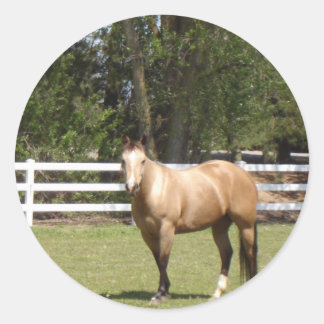 Adesivo Redondo Galos de cavalos