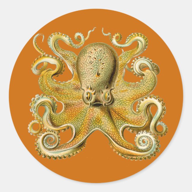 Adesivo Redondo Gamochonia Stickers (Frente)