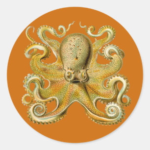 Adesivo Redondo Gamochonia Stickers