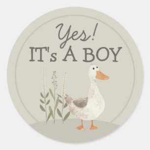 Adesivo Redondo Ganso de Aquarela Bonito É Um Pau Redondo