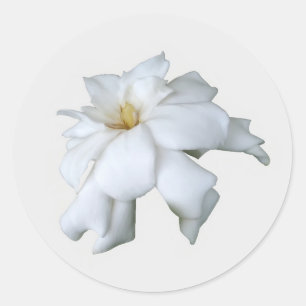 Adesivo Redondo Gardenia Stickers