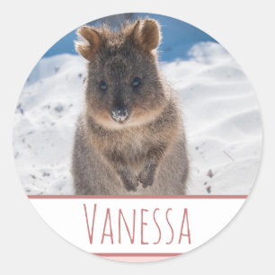 Adesivo Redondo Garotas Rosa Personalizadas Quokka Beach Sticker