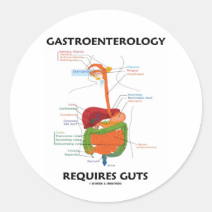 Adesivo Redondo Gastroenterologia Requer Arrepios (Sistema Digesti