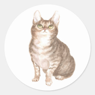 Adesivo Redondo Gata Fofa Marrom Rescue Kitty Mãe Amante de Gatos