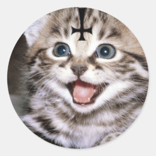 Adesivo Redondo gatinho