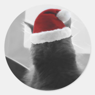 Adesivo Redondo Gatinho adorável do Natal