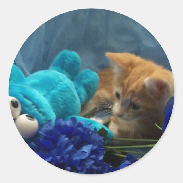Adesivo Redondo gatinho bebê Cole (Frente)