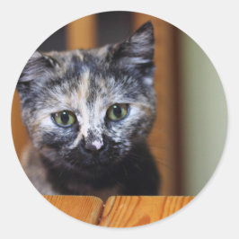 Adesivo Redondo Gatinho branco e preto