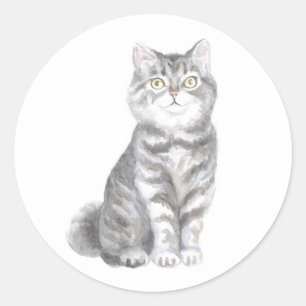 Adesivo Redondo Gatinho Cinza Prateado Fofo Amante de Gatos Mãe