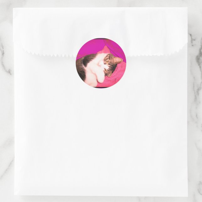 Adesivo Redondo Gatinho de Lucy Stickers (Bolsa)