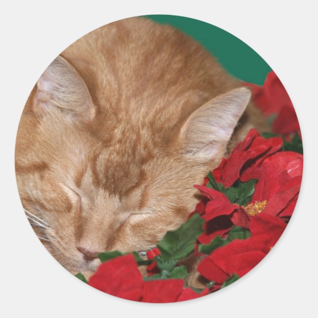 Adesivo Redondo Gatinho de Natal sonolento (Frente)