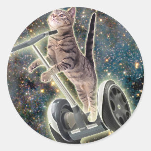Adesivo Redondo Gatinho de Segway