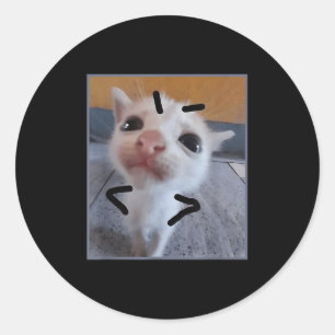Adesivo Redondo Gatinho Engraçado Gato Furioso Fresco Gatinho Fres