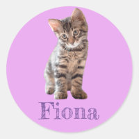 Gatinho Malhado Personalizado Lavanda