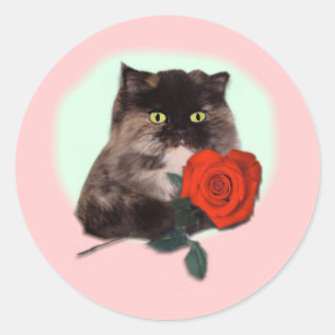 Adesivo Redondo Gatinho persa com presentes e roupa cor-de-rosa