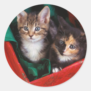 Adesivo Redondo Gatinhos do Natal