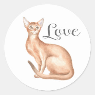 Adesivo Redondo Gato Abissínio Fofo Mamãe Gatinho Kitty Amor Olá