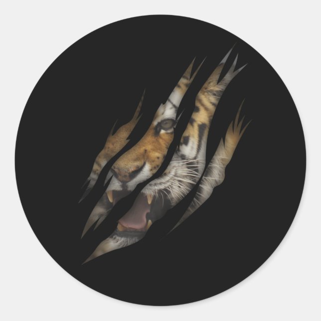 Adesivo Redondo Gato Animal Safari Selvagem, Gato de Tigre Irritad (Frente)
