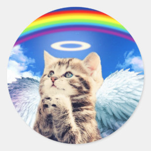 Adesivo Redondo Gato anjo