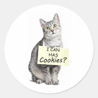 Adesivo Redondo Gato Bonito pergunta que posso ter biscoitos?