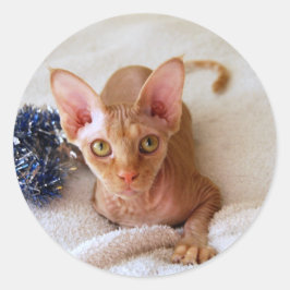Adesivo Redondo Gato De Esfinge Com Tinsel Sticker