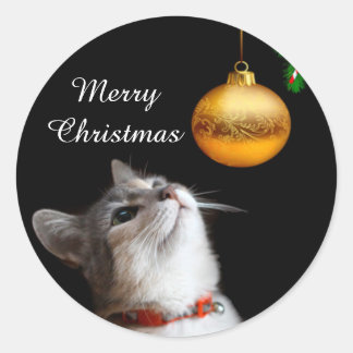Adesivo Redondo Gato de gatinho empatado Natal