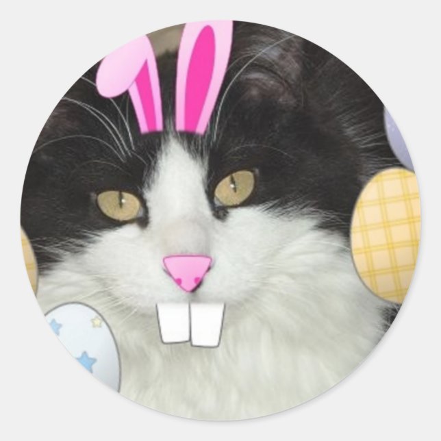 Adesivo Redondo Gato de Gatinho Preto e Branco páscoa (Frente)