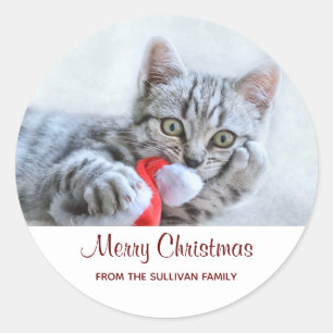 Adesivo Redondo Gato de gato malhado cinzento bonito com Xmas do