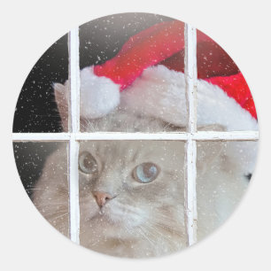 Adesivo Redondo Gato de Ragdoll do Natal na janela