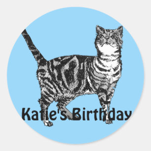 Adesivo Redondo Gato de Tabby Blue Girls Aniversário Sticker