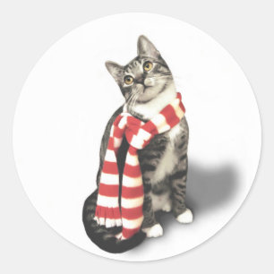 Adesivo Redondo Gato de Tabby Castanho num lenço Vermelho e Branco