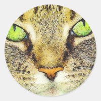 Gato de Tabpelos Verdes