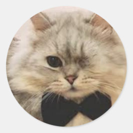 Adesivo Redondo Gato de um só olho