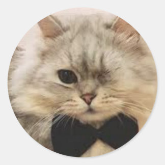 Adesivo Redondo Gato de um só olho