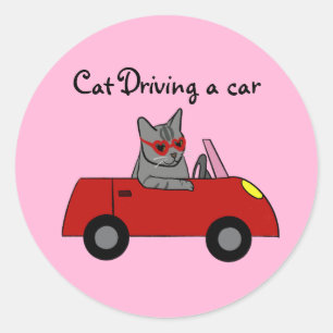 Adesivo Redondo Gato dirigindo um autocolante