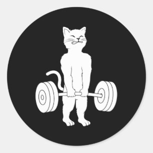 Adesivo Redondo Gato do Gatinho de Elevação de Cabeça de Gato