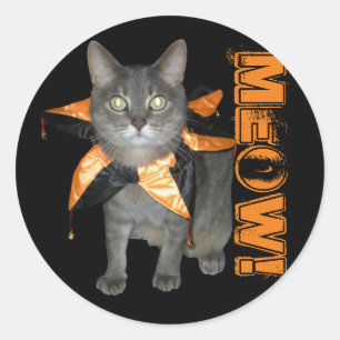 Adesivo Redondo Gato do traje do Meow