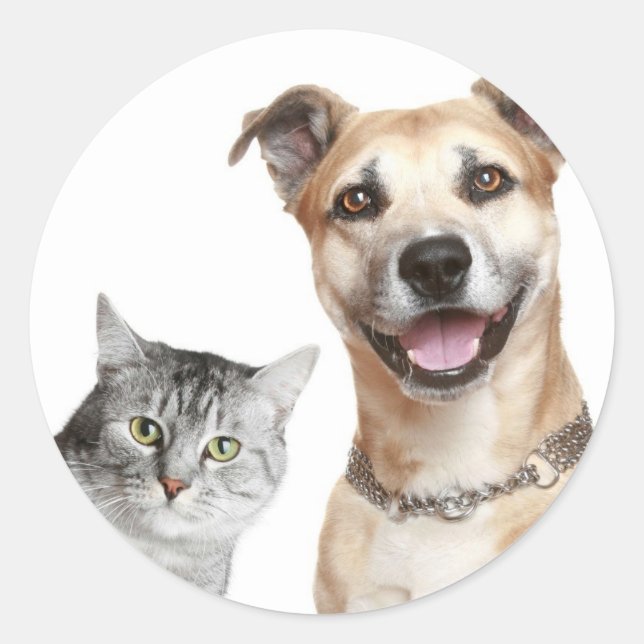 Adesivo Redondo Gato e Cachorro Dizem Ei (Frente)