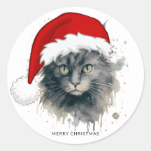 Gato Em Um Papai Noel Feliz Natal