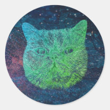 Gato espacial