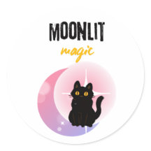gato fofo e lua